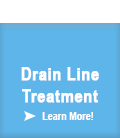 Drain Line Treatment