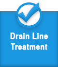 Drain Line Treatment